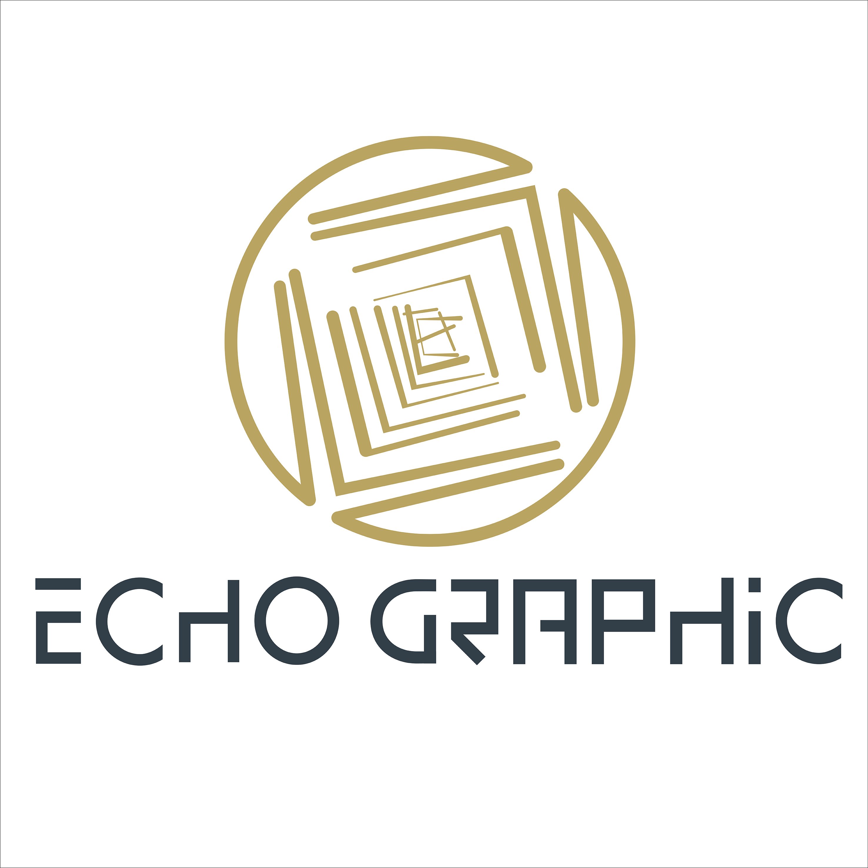 echographic